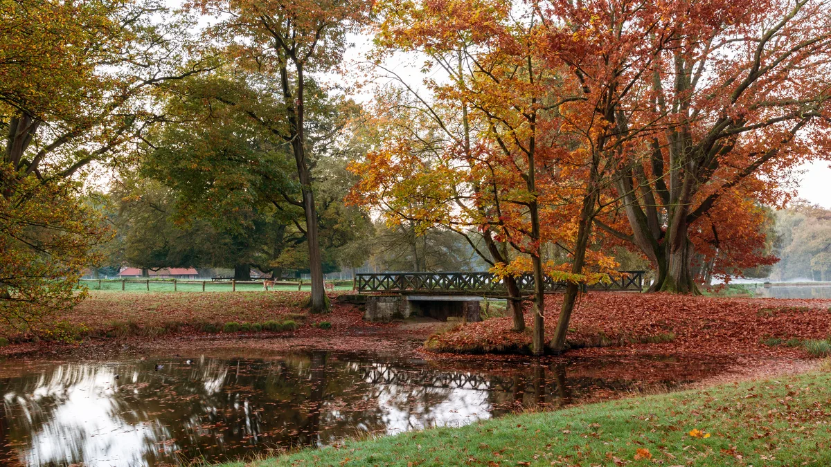 Autumn Winter